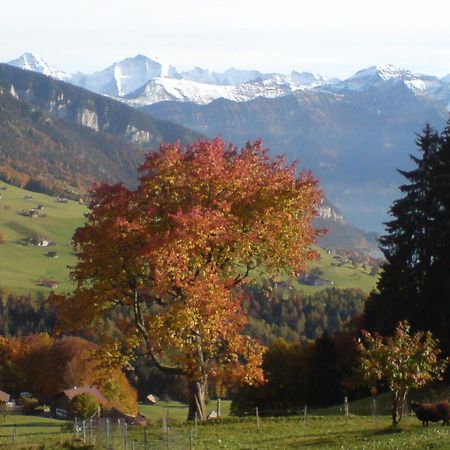 Hotel Rothorn Vintage-Style Sigriswil Esterno foto